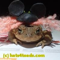 /home//u458753944/public_html/sourcegallery/////////Roxborough Toad Detour/2013-2019/2018/2018-04-13/P4130009.JPG
